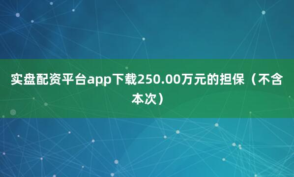 实盘配资平台app下载250.00万元的担保（不含本次）