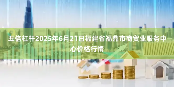 五倍杠杆2025年6月21日福建省福鼎市商贸业服务中心价格行情