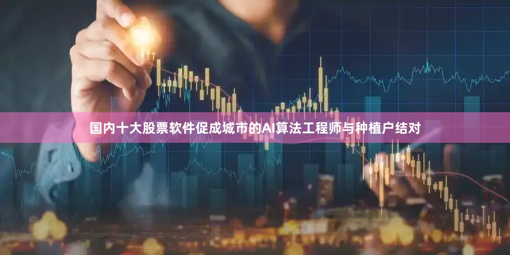 国内十大股票软件促成城市的AI算法工程师与种植户结对
