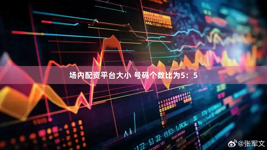 场内配资平台大小 号码个数比为5：5