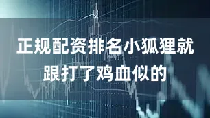 正规配资排名小狐狸就跟打了鸡血似的