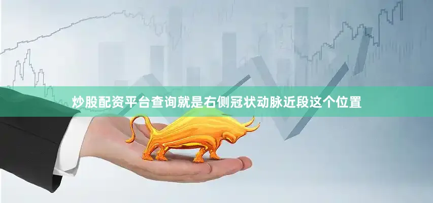 炒股配资平台查询就是右侧冠状动脉近段这个位置